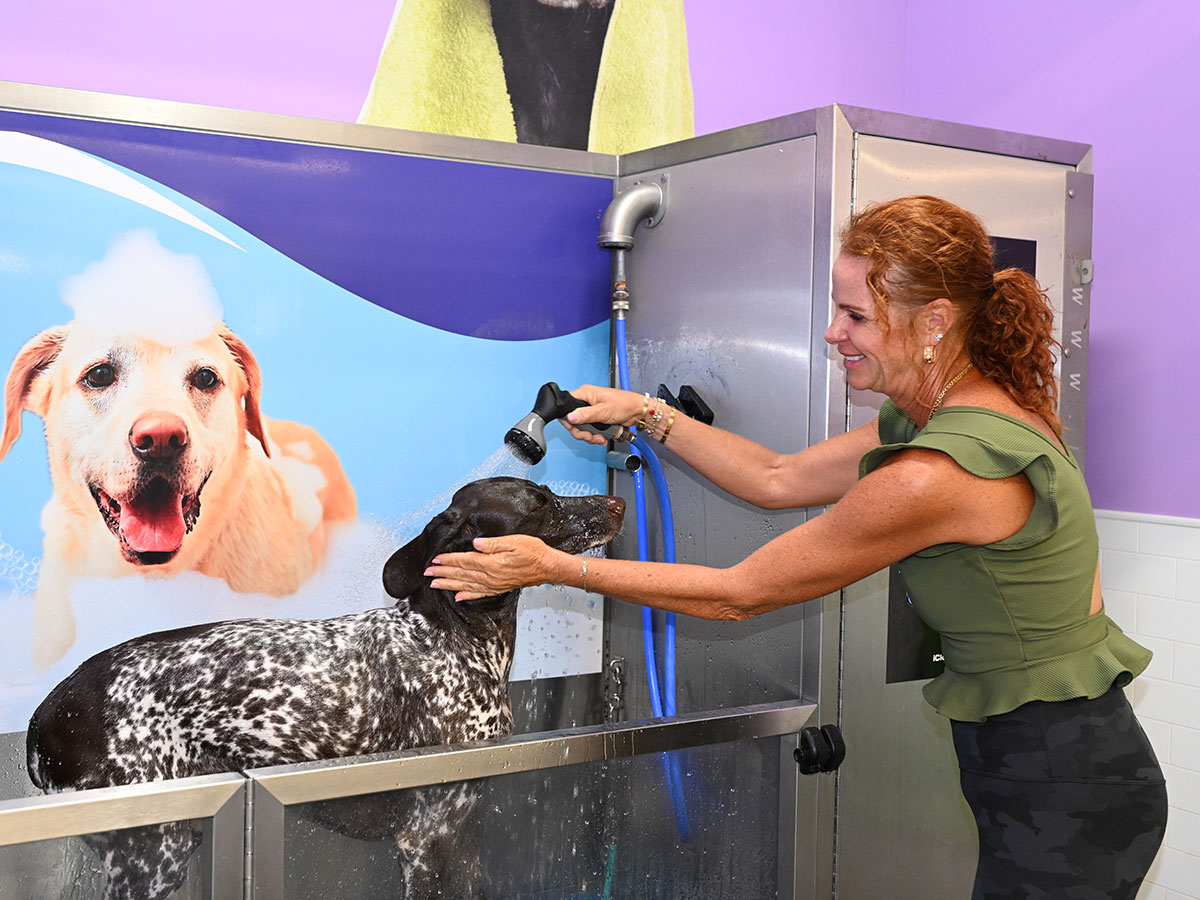 A dog using a DOGPerfect self-serve wash station