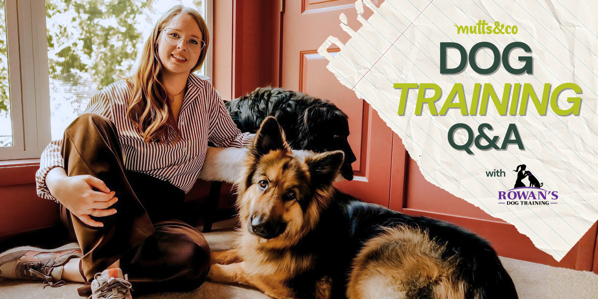 Ask the trainer with Rowan’s Dog Training